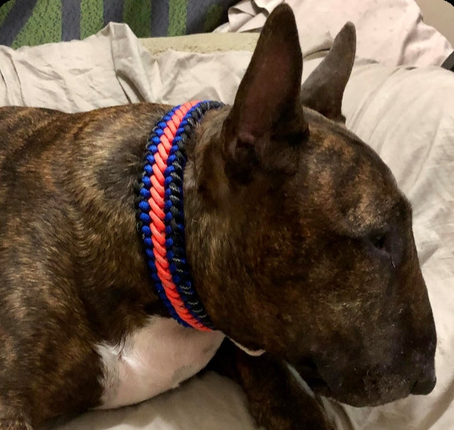 Milo's Custom Tag Collar